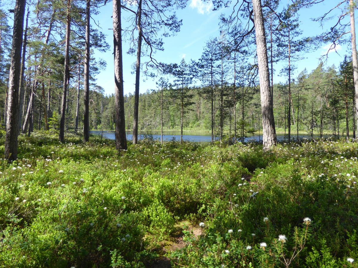 Ydrefors Bed & Breakfast Kültér fotó