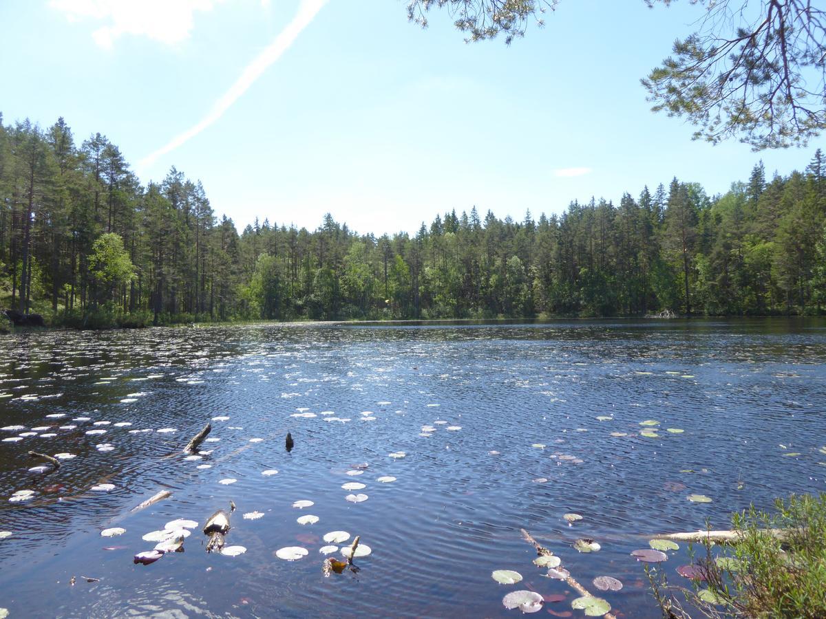 Ydrefors Bed & Breakfast Kültér fotó